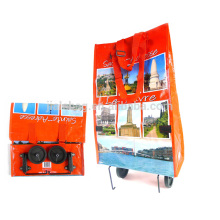 cheap custom promotional trolley bag for shopping